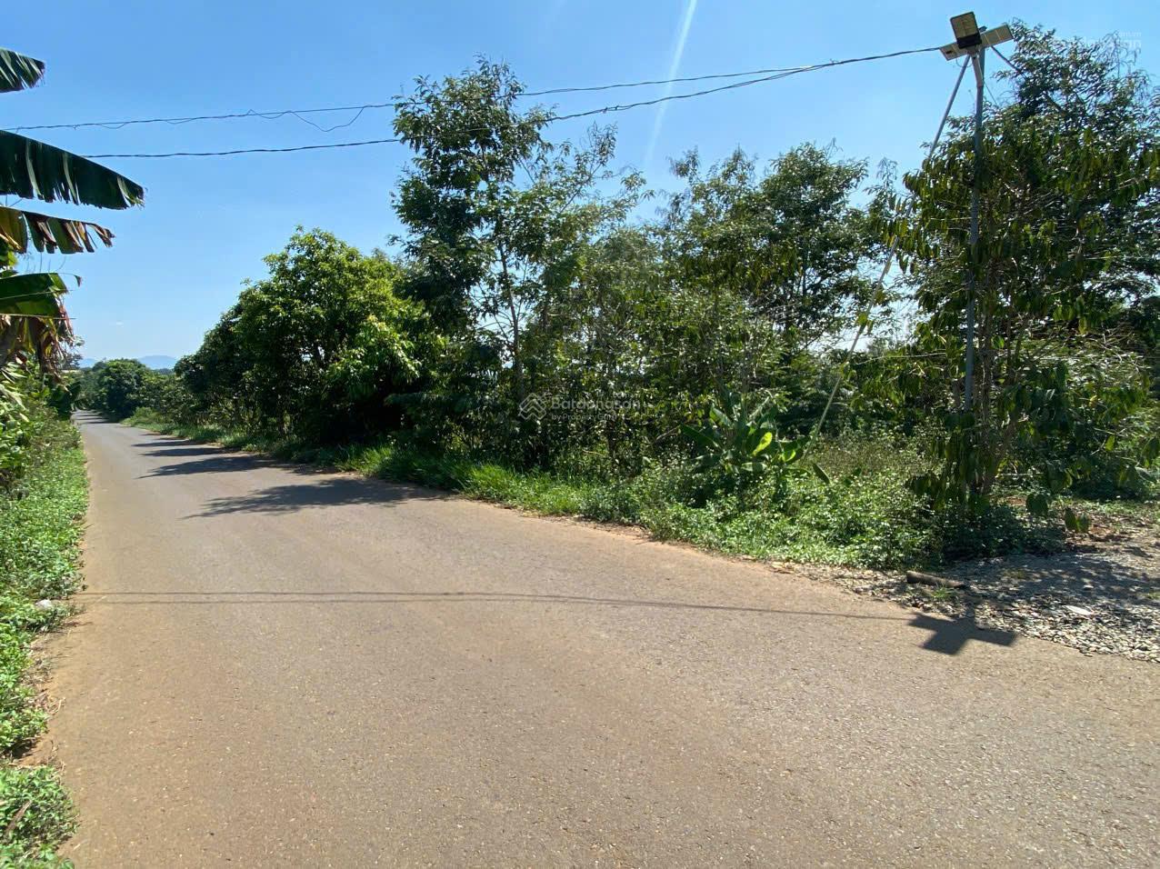 Bán đất 3 mặt tiền nhựa Di Linh Lâm Đồng 7.113.7m², mặt tiền 90m view đẹp, có 1000m² thổ cư