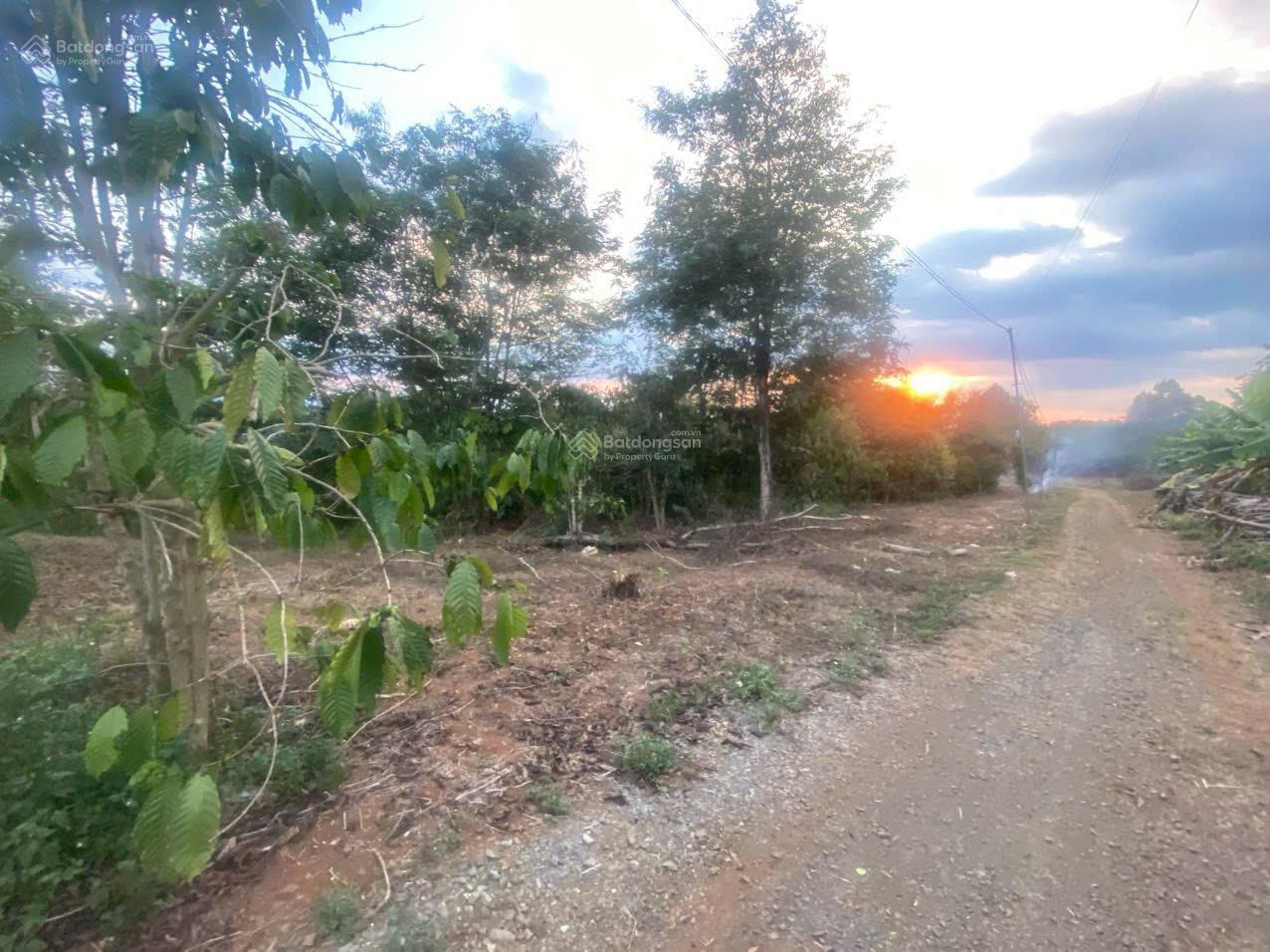 Bán đất 3 mặt tiền nhựa Di Linh Lâm Đồng 7.113.7m², mặt tiền 90m view đẹp, có 1000m² thổ cư