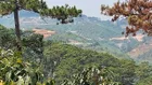 Đất 2ha Xuân Trường Đà Lạt gần UBND 500m, đối diện rừng, ô tô 7 chỗ tới đất, giá 16 tỷ