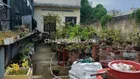 BÁN NHÀ CẤP 4, HẺM Ô TÔ 520 QL13, HIỆP BÌNH PHƯỚC THỦ ĐỨC 6ty5