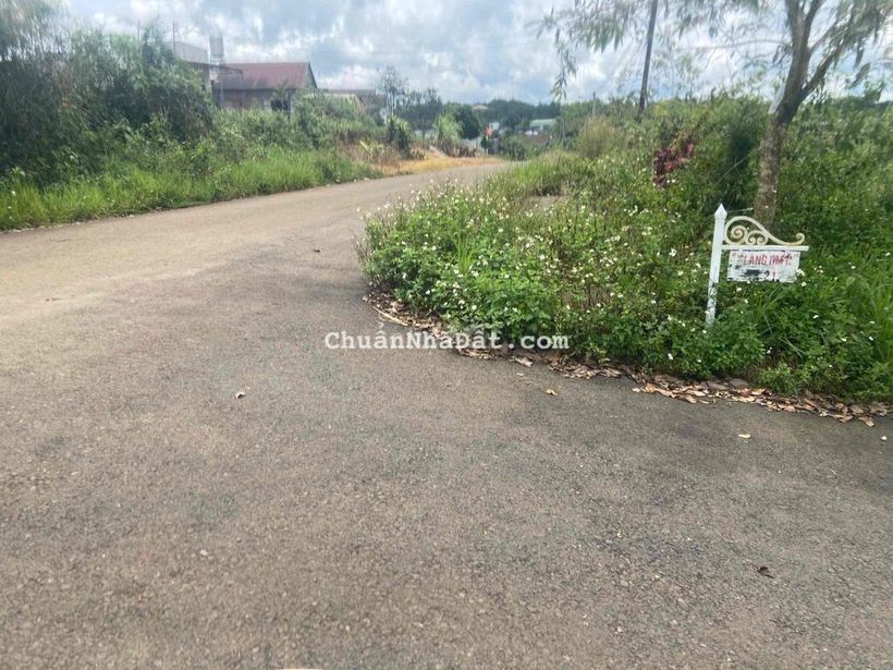 đất nghĩ dưỡng ngay sát trung tâm thành phố Bảo Lộc.gần chợ.thác dam r