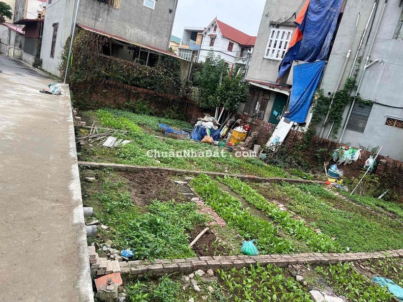 BÁN ĐẤT ĐA TỐN – GIA LÂM | Ô TÔ ĐỖ CỬA | NGÕ THÔNG