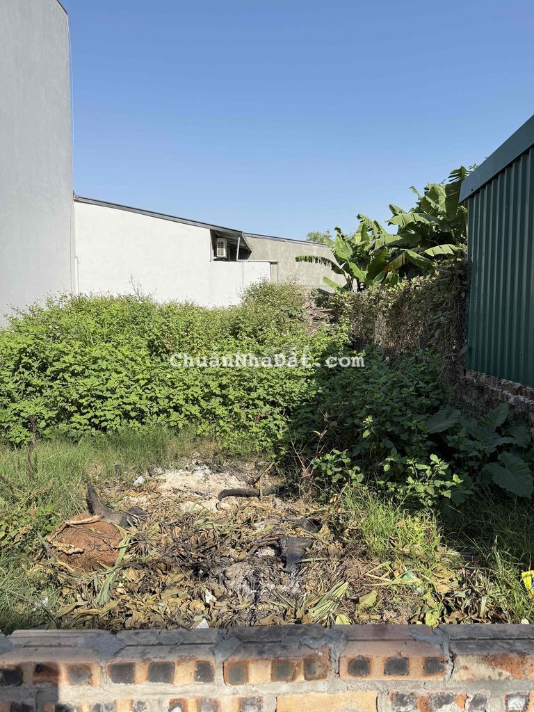 Bán Đất Thổ Cư Hải Bối 71m² – Ngõ Ô Tô Tránh – Gần TP Thông Minh