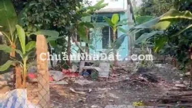 Nhà phú thọ 12x60 có 2pn cho thuê chỉ 4tr