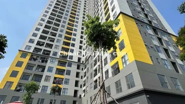 Cho thuê căn hộ Bcons Sala Phan Bội Châu Ở Liền