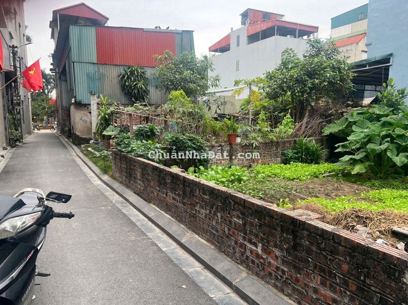 Bán đất Đông Bầu Đa Lộc Kim Chung 56,6m² ngõ ô tô