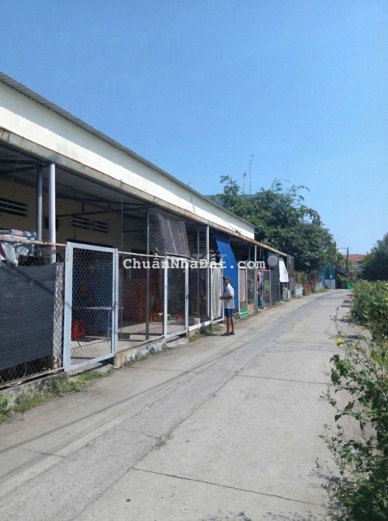 CHO THUÊ PHÒNG TRỌ PHÚ MỸ THỦ DẦU MỘT