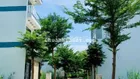 6x15m khu dân cư điện âm cách Phú Mỹ Hưng q7 10 phút 4.1 tỷ