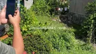 đất nền lúa nước 462m2 đường hồ chí minh ( hết đường n2 sẽ gặp )