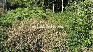 CHO THUÊ ĐẤT TRỐNG 700M2 BẾN CÁT