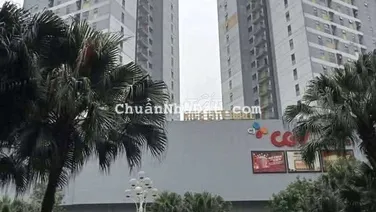 67M - TOÀ TRUNG RICE CITY - LINH ĐÀM