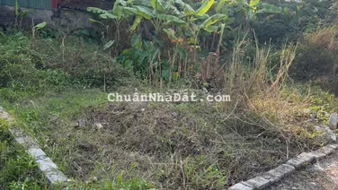 CHÍNH CHỦ bán đất Tân Ước, Dân Hoà, Thanh Oai - Sát Vinhomes Olympic