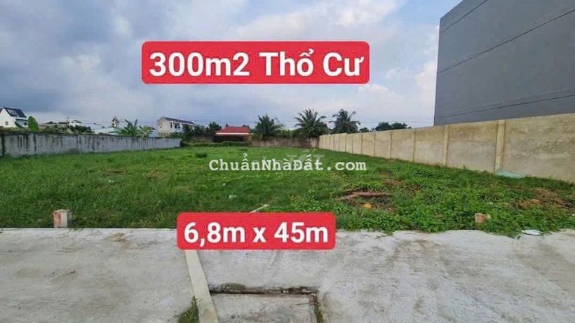 Đất thổ cư dt 300m2 tân kim Cần Giuộc