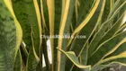 Phòng trọ 2 người ở trung tâm quận Thanh khê, kiệt ô tô thông thoáng.