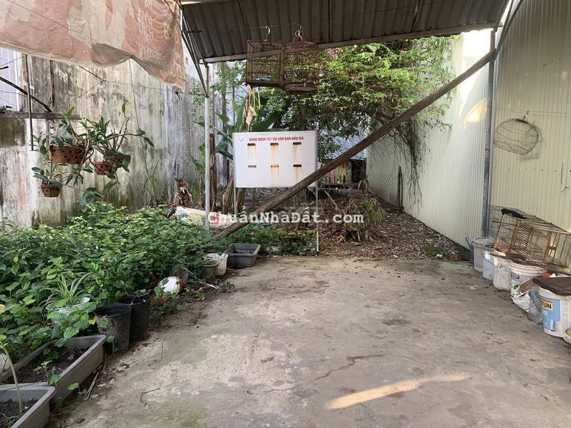 Cho thuê đất làm kho chứa đồ hoặc bán tạp hoá…