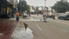 CHO THUÊ MẶT BẰNG KI-ỐT KINH DOANH MT LỚN,DÂN ĐÔNG