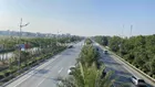 Đất sổ đỏ trục Nhật Tân- Nội Bài. 47.5m2.