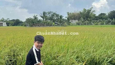 Cần bán đất thổ cư Đức Hòa Đông