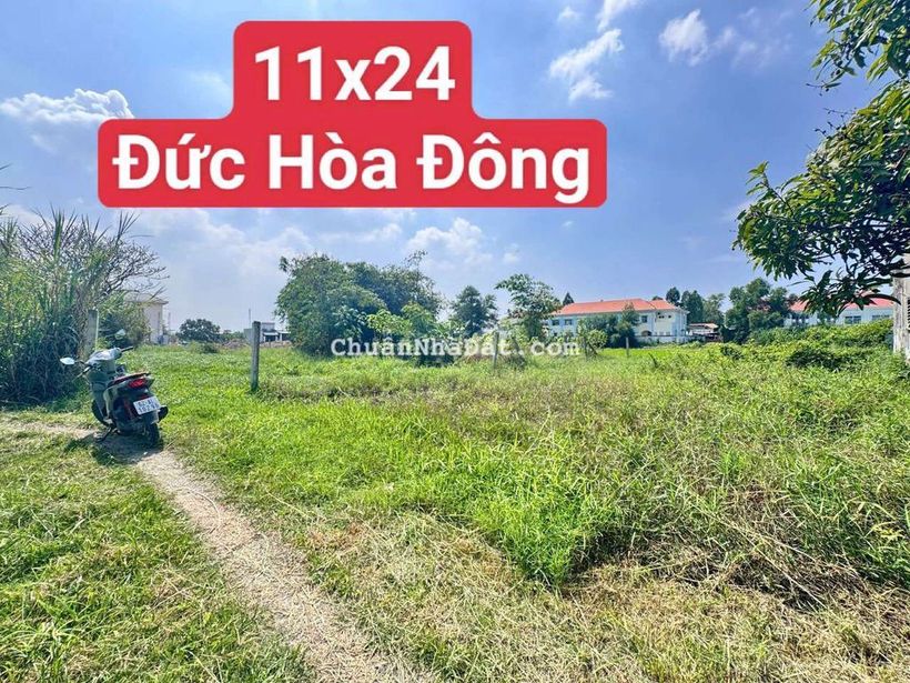 BÁN CĂP NỀN Xây trọ HOẶC NHÀ VƯỜN NGAY ĐỨC HOÀ ĐÔNG GẦN UBX CHỢ TRƯỜNG
