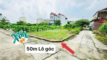 🌈✨️Lô Góc 50m2 Hoa Hậu Tổ 9 Quang Minh – Đường thông 🚘 Ô Tô tứ Phía
