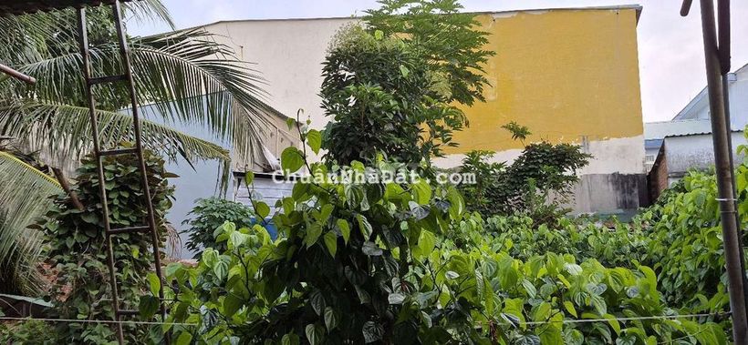 Bán nhà hẻm xe hơi.