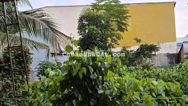 Bán nhà hẻm xe hơi.