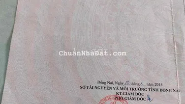 Đất Nền Lavender City 100m2, mặt tiền kinh doanh