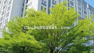 Cần cho thuê căn hộ chung cư Dreamhome, Gò Vấp