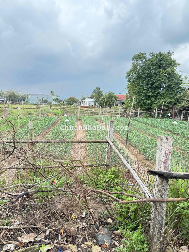 cần bán lô đất tại Thôn Hà Tây 2- phường Điện Bàn Bắc -tp Đà Nẵng