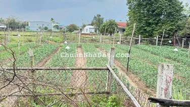 cần bán lô đất tại Thôn Hà Tây 2- phường Điện Bàn Bắc -tp Đà Nẵng