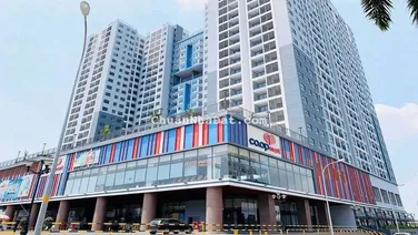 EM CHO THUÊ CĂN HỘ SÀI GÒN AVENUE