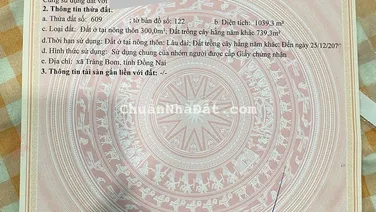 Đất ngộp