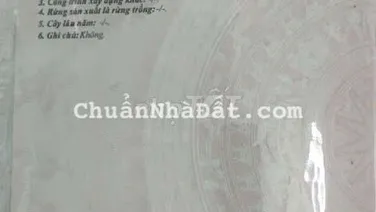 Bán ( hoặc cho thuê ) căn nhà Vườn
