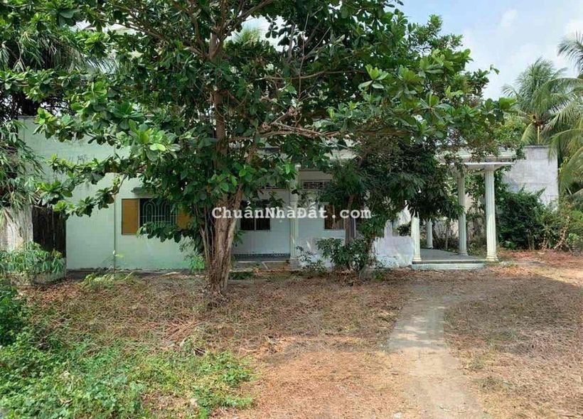 CHO THUÊ NHÀ + 1000M2 ĐẤT TẠI PHƯỜNG PHÚ TÂN, TP.BẾN TRE