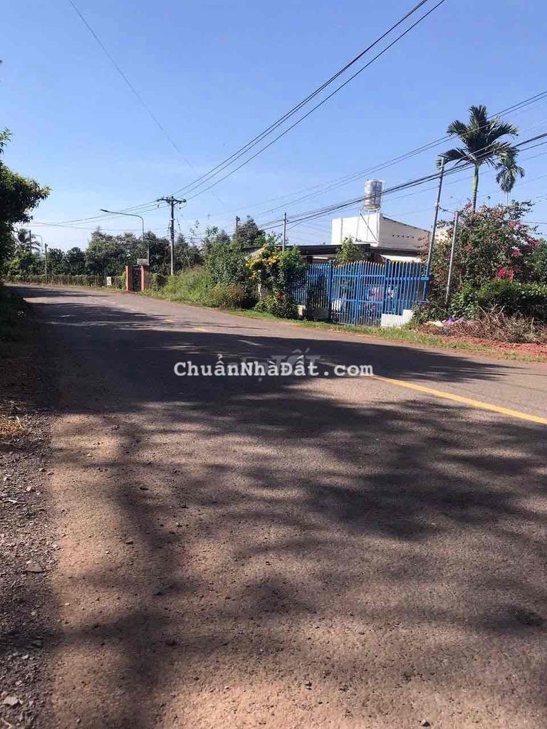 Bán Lô Đất Mặt Tiền Đường Nhựa Lớn, Phường Xuân lập, TP Long Khánh