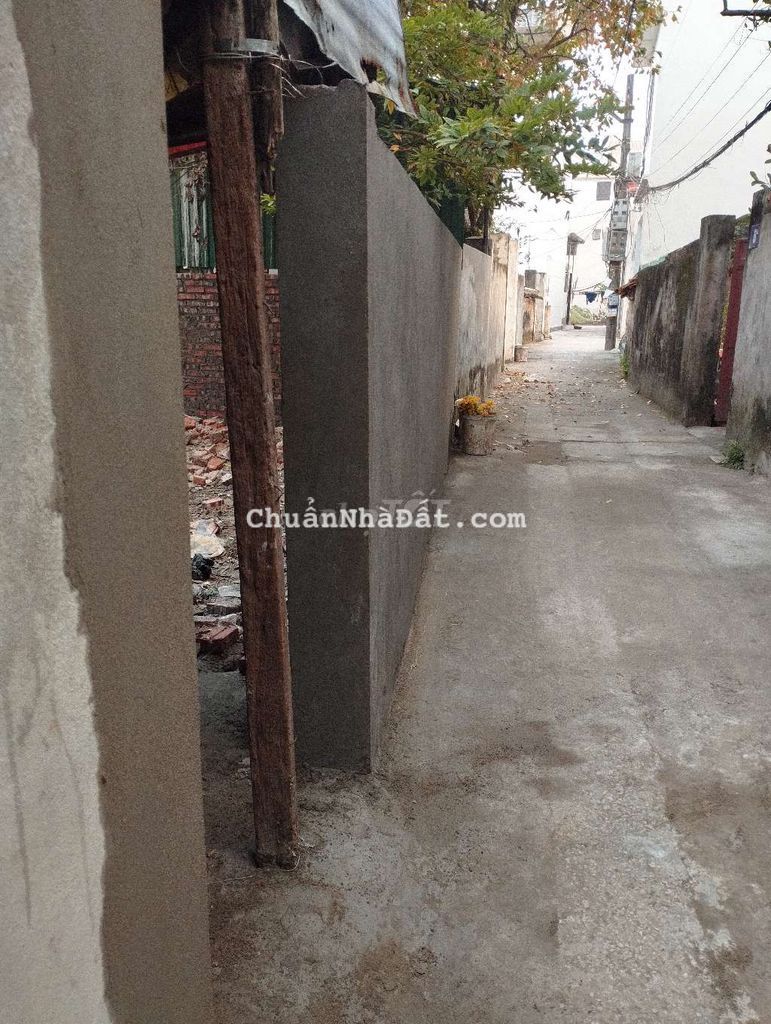 Cô mình có mảnh sổ ao 101m chia 3 lô bán vi bằng 5.5 tỷ