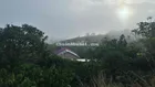 Cho Thuê Nhà và Đất 1.000m2
