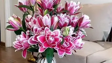 Bán căn 58m2 tại FLC Quang Trung, sẵn sổ - giá rẻ nhất thị trường