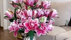Bán căn 58m2 tại FLC Quang Trung, sẵn sổ - giá rẻ nhất thị trường