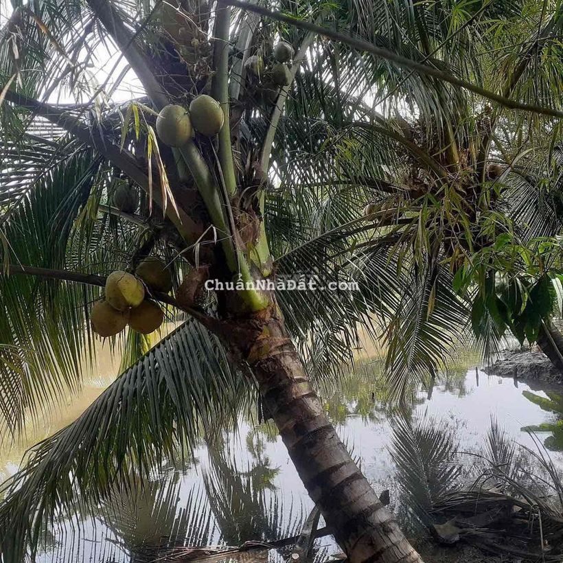 Nhà an sơn 800m view hồ cho thuê chỉ 4tr5/th