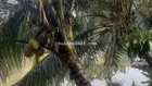 Nhà an sơn 800m view hồ cho thuê chỉ 4tr5/th