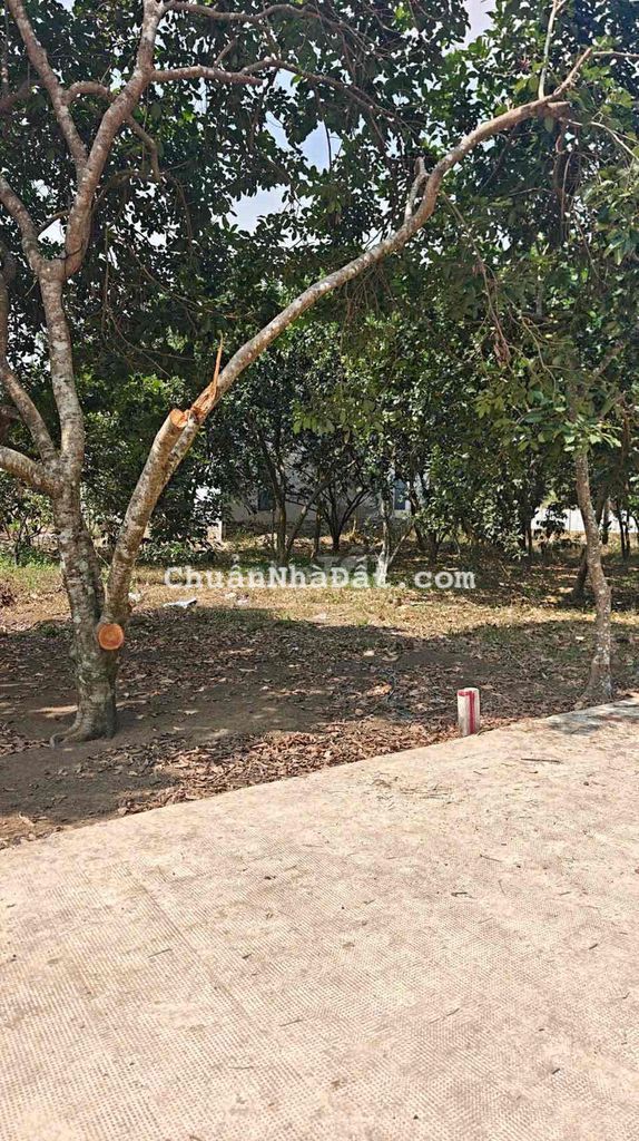 Bán đất khu Tái Định Cư. Trực thuộc Phường Bình Lộc( Long Khánh cũ). D