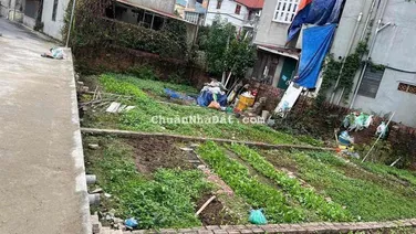 CC cần bán đất Đa Tốn -Gia Lâm ô tô vào tận đất, giá nhỉnh 3tỷ xíu
