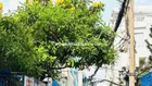 SIÊU TO KHỔNG LỒ - NGANG GẦN 6 MÉT DÀI 23M - SHCN 113M2 - NỞ HẬU XỊN X