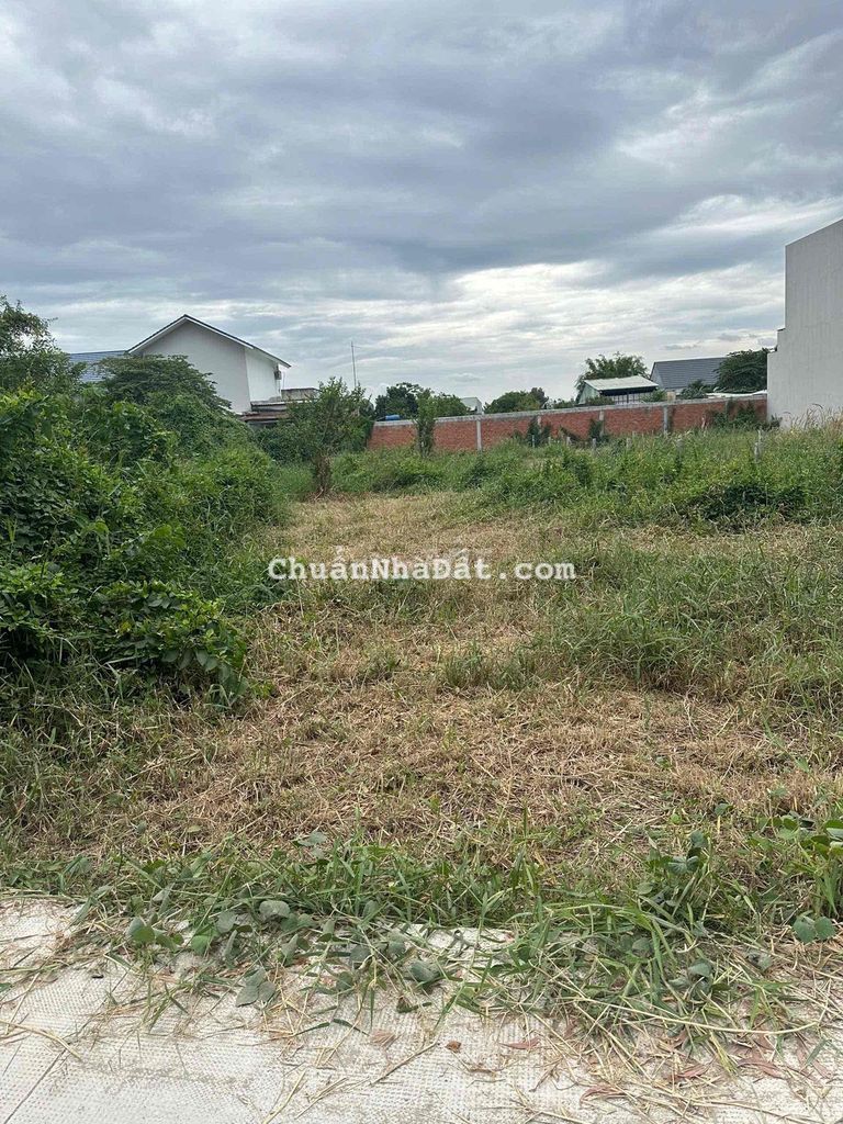 Chính chủ ngộp NH cần ra đi nhanh chóng lô đất tâm huyết