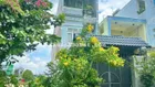 Nhà 1 Trệt 2 lLu + sân thượng, vị trí đẹp khu dân trí cao đg 7m thông.