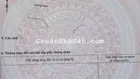 NỀN GÓC ĐẸP TRỤC CHÍNH HOÀNG HẢO