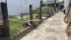 Bán Lô Góc Đông Bình ngay Tạp Hoá Dung Mân (5phút đến Ngã 5 Tuy Hoà )