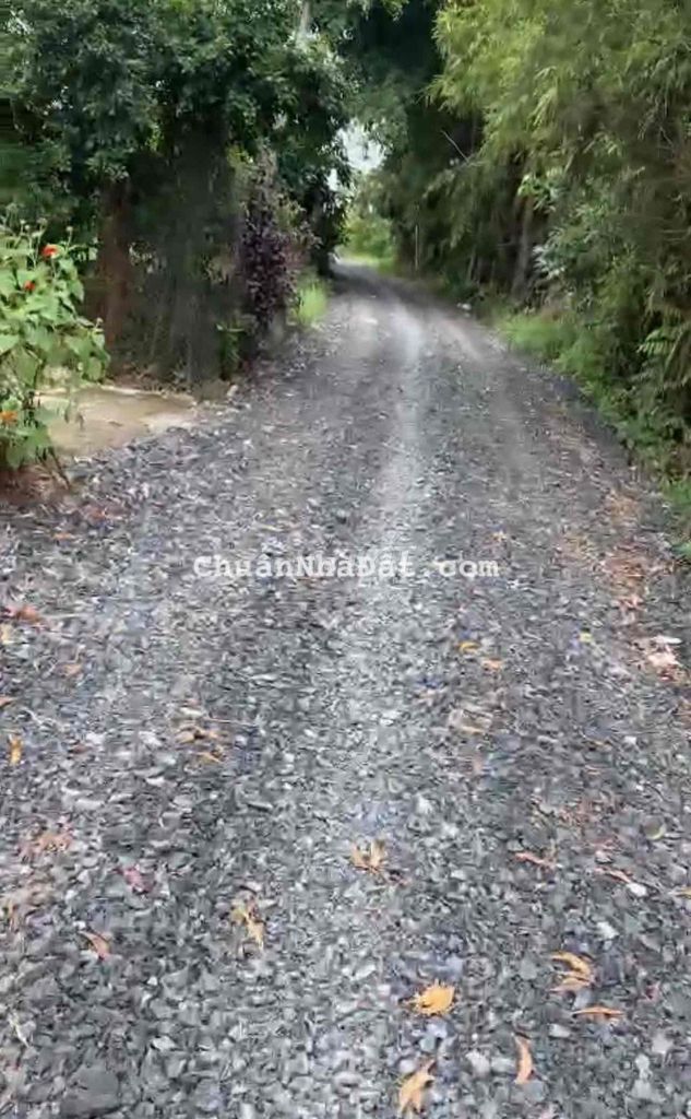 ĐẤT THỔ CƯ LONG AN- GIÁP HOCMON