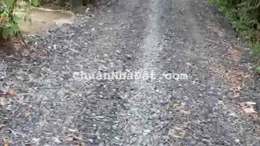 ĐẤT THỔ CƯ LONG AN- GIÁP HOCMON